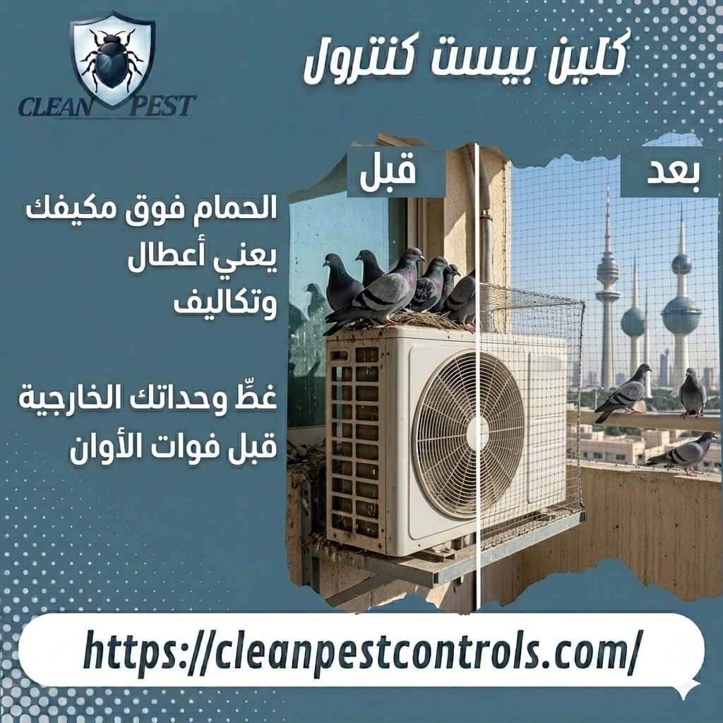 Pigeon Deterrent Solutions in Kuwait