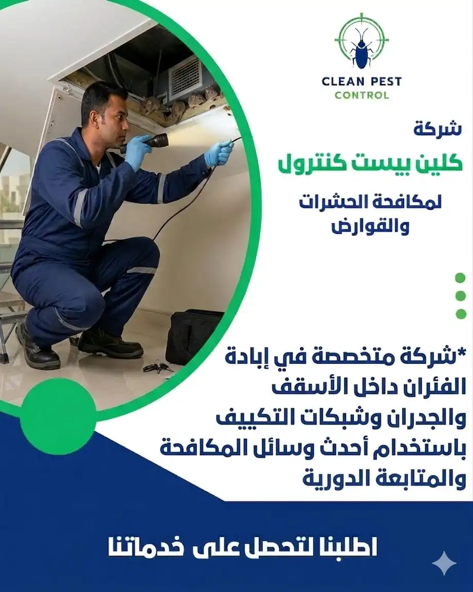 Rat Problems in Ceilings Kuwait