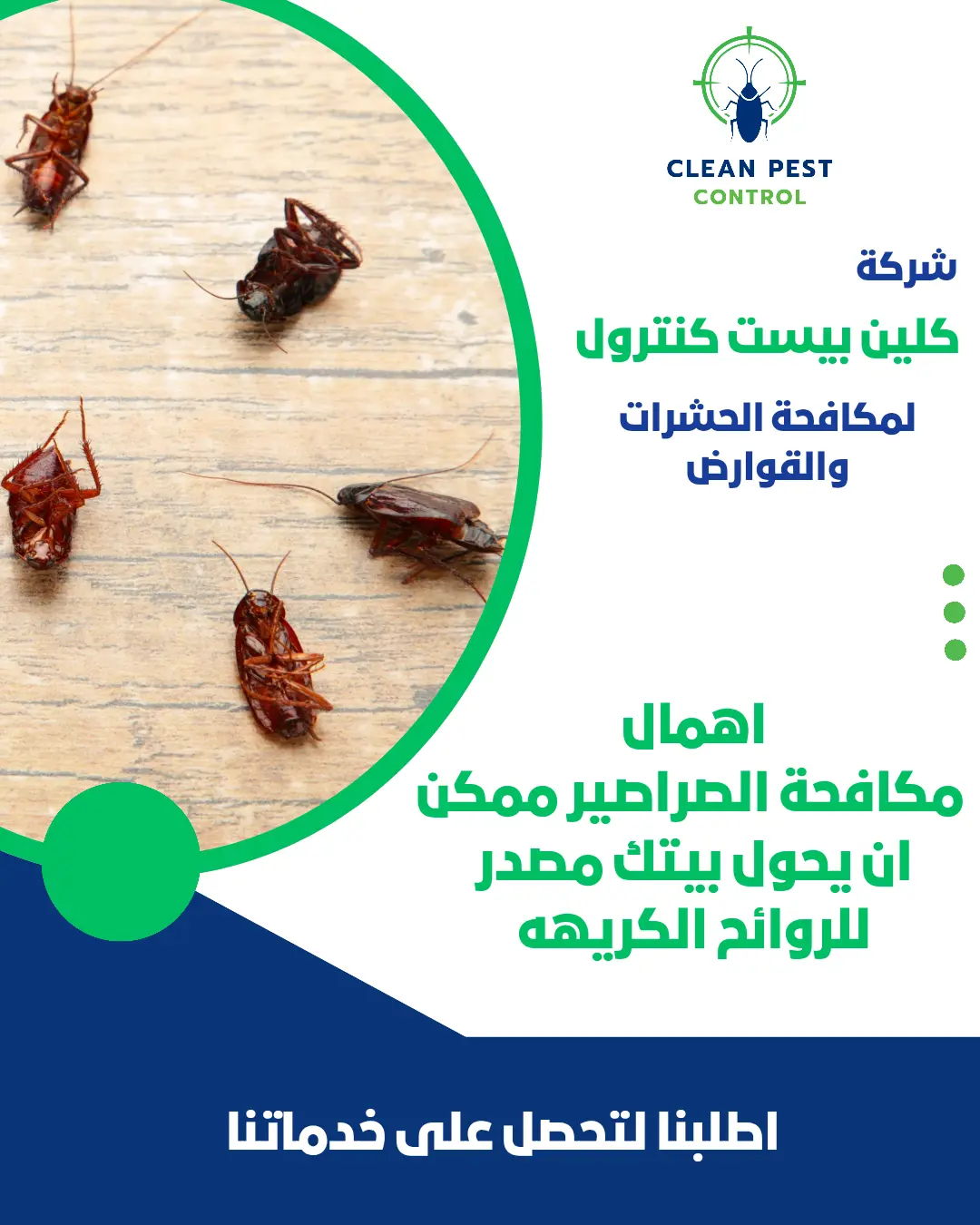 Find the Perfect Solution for Cockroach Problems: Top Pest Control Companies in Kuwait for Your Home or Office