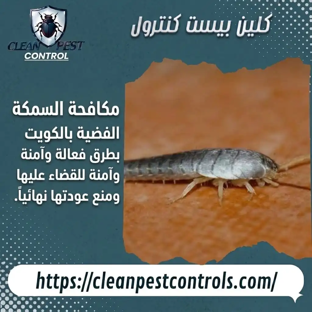 مكافحة حشرة السمكة الفضية بالكويت بطرق فعالة وآمنة