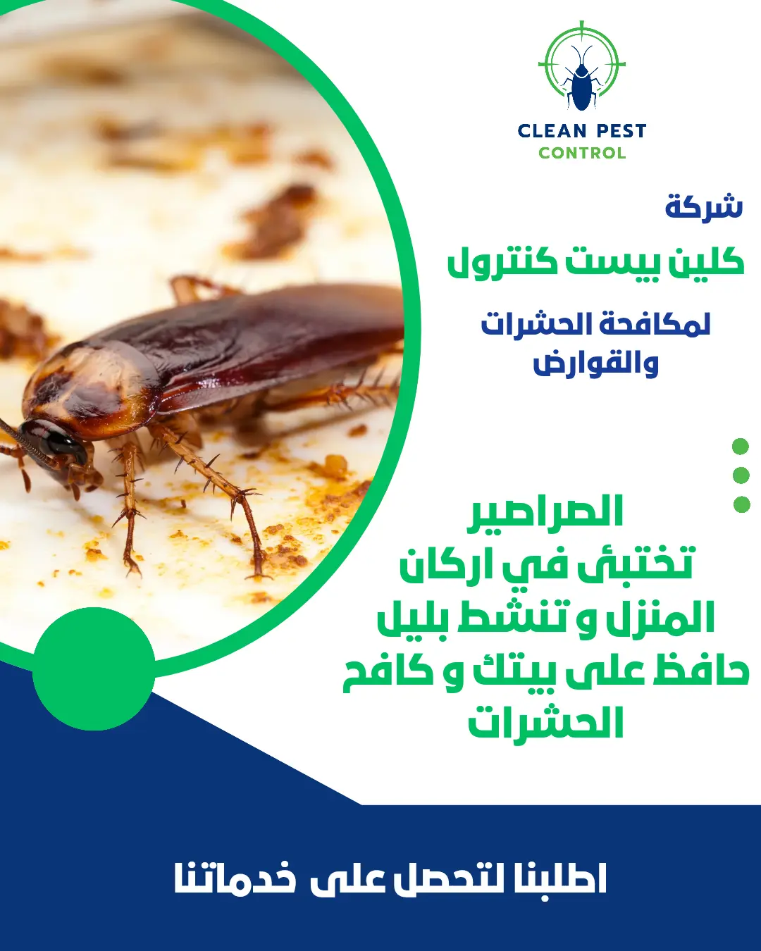 Pest Control in Kuwait: Protecting Your Home from Harmful Pests