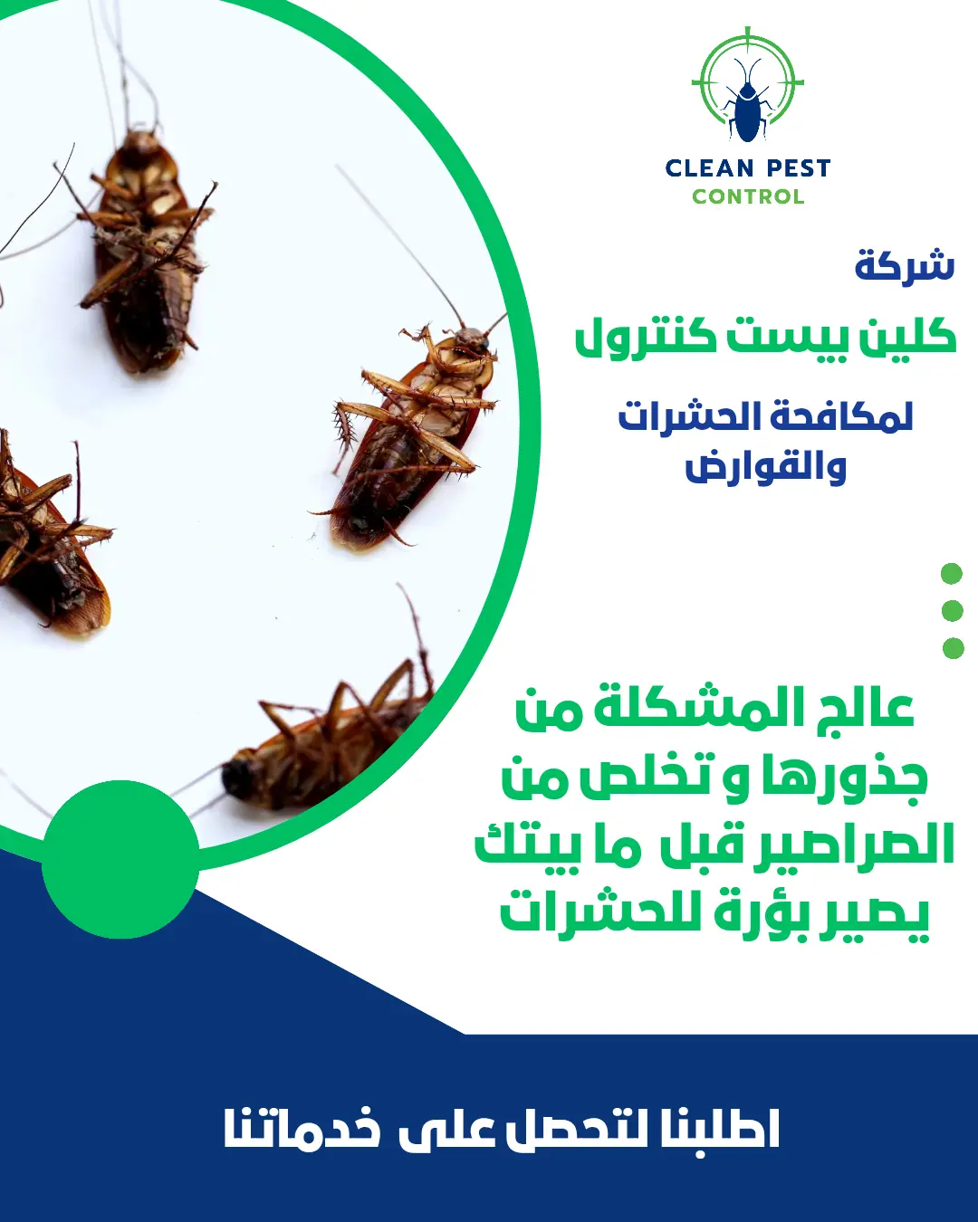 Top Cockroach Control Solutions in Dasma: Restore Cleanliness to Your Home Safely and Effectively