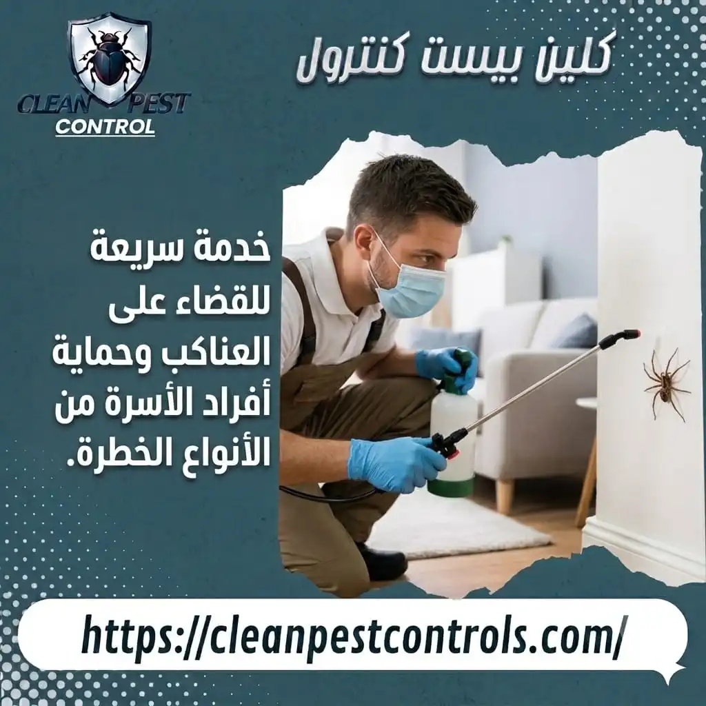 خدمة سريعة للقضاء على العناكب وحماية الأسرة من الأنواع الخطرة