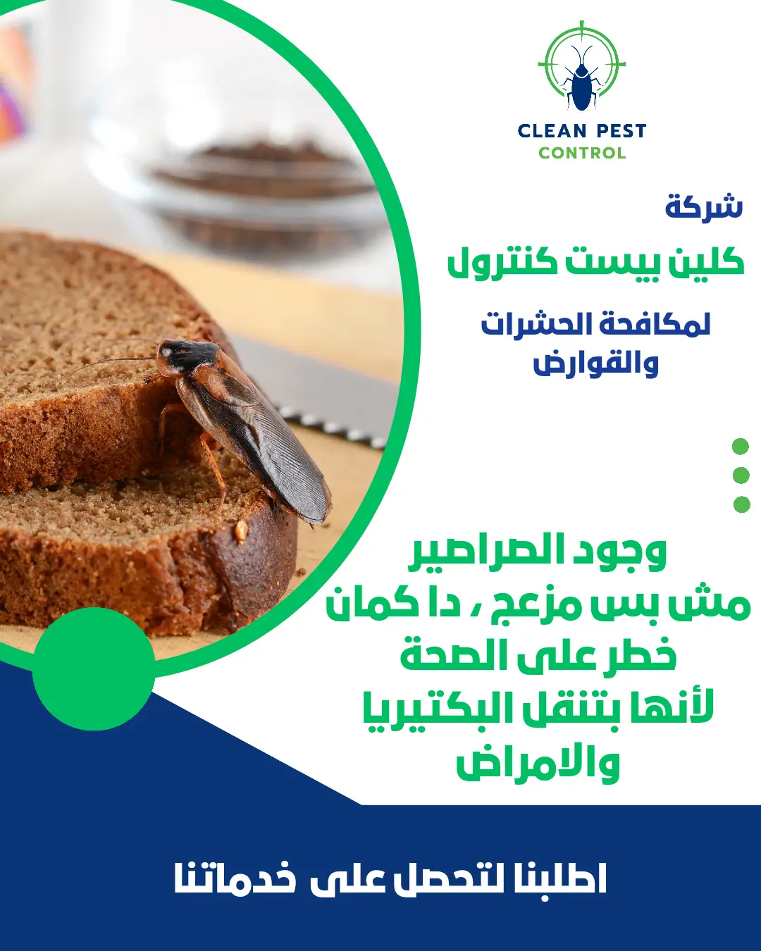 Eliminate Cockroaches in Al Qirawan (Kuwait) – The Ultimate Solution to Cockroach Problems with the Best Pest Control Services