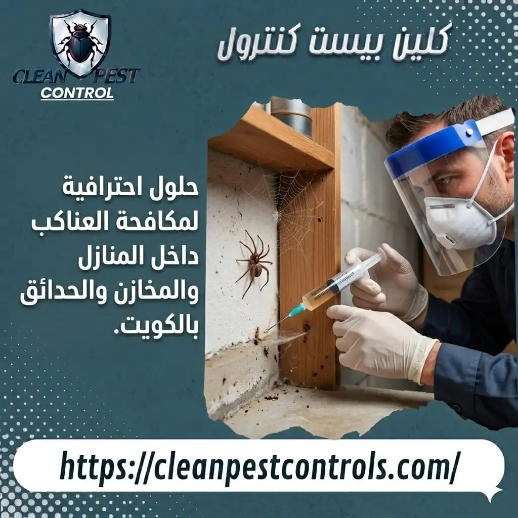 حلول احترافية لمكافحة العناكب داخل المنازل والمخازن والحدائق بالكويت