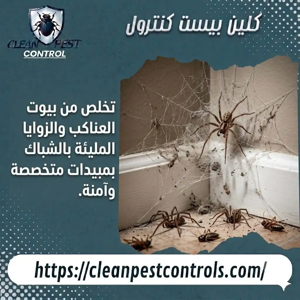 التخلص من بيوت العناكب والزوايا المليئة بالشباك بمبيدات آمنة