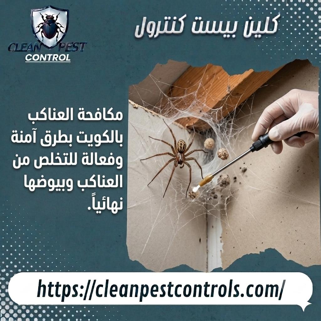 مكافحة العناكب بالكويت بطرق آمنة وفعالة للتخلص من العناكب وبيوضها