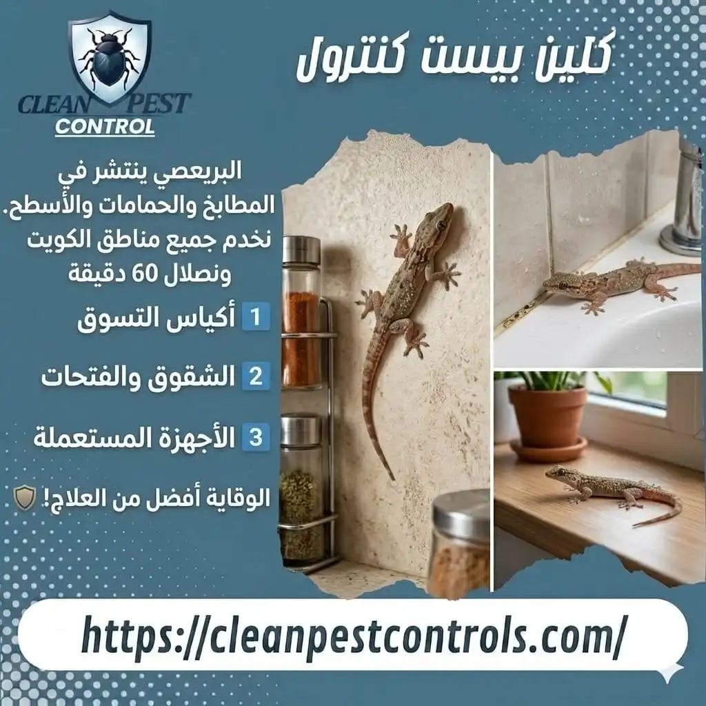 Why Does Baraisi Keep Appearing in Kitchens?