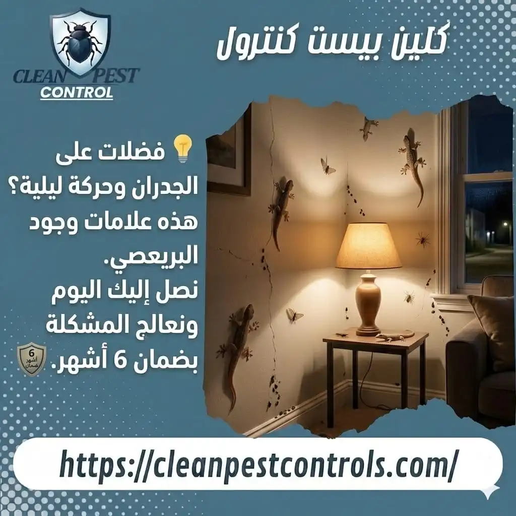 Baraisi Inside the Bedroom: What Should You Do?