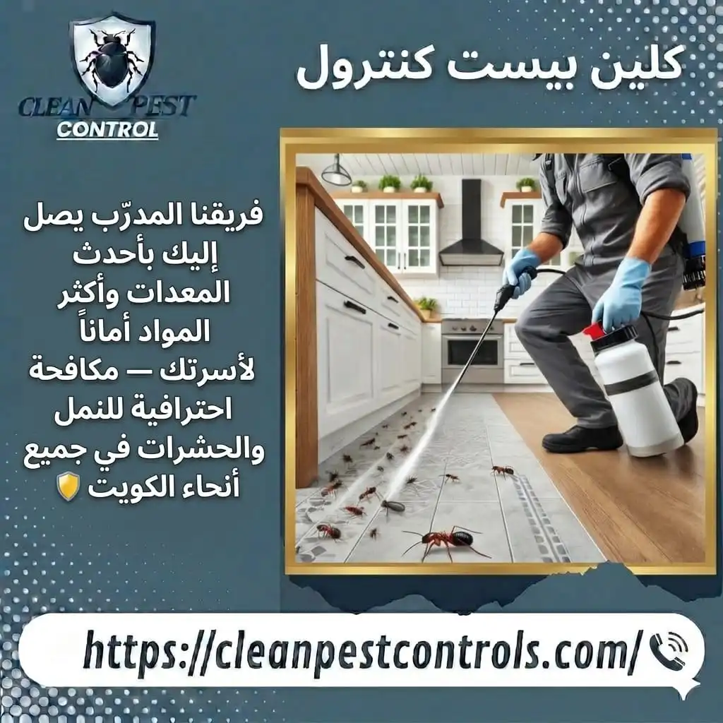 Small Black Ants in Homes in Kuwait