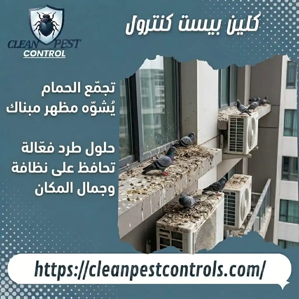 Pigeon Damage to Homes and Buildings in Kuwait