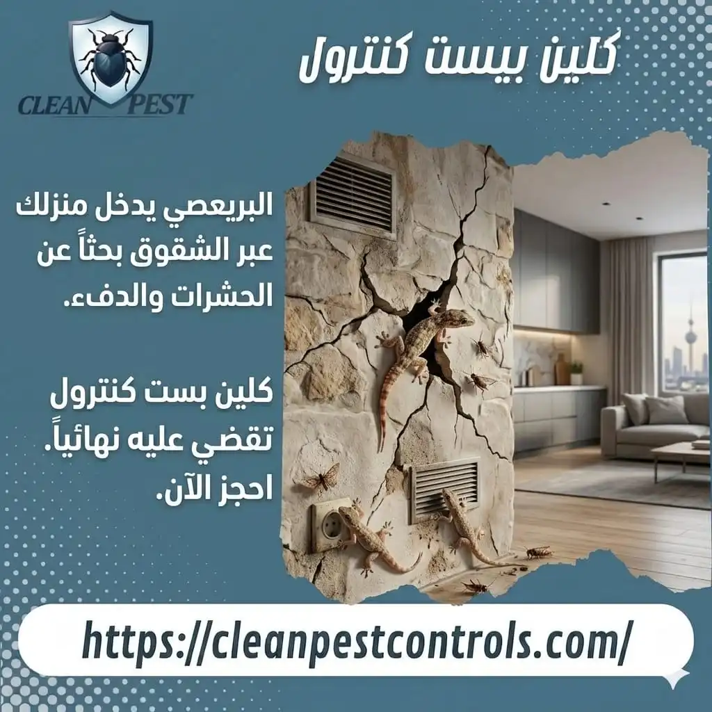 Reasons Behind Baraisi Appearing in Homes in Kuwait