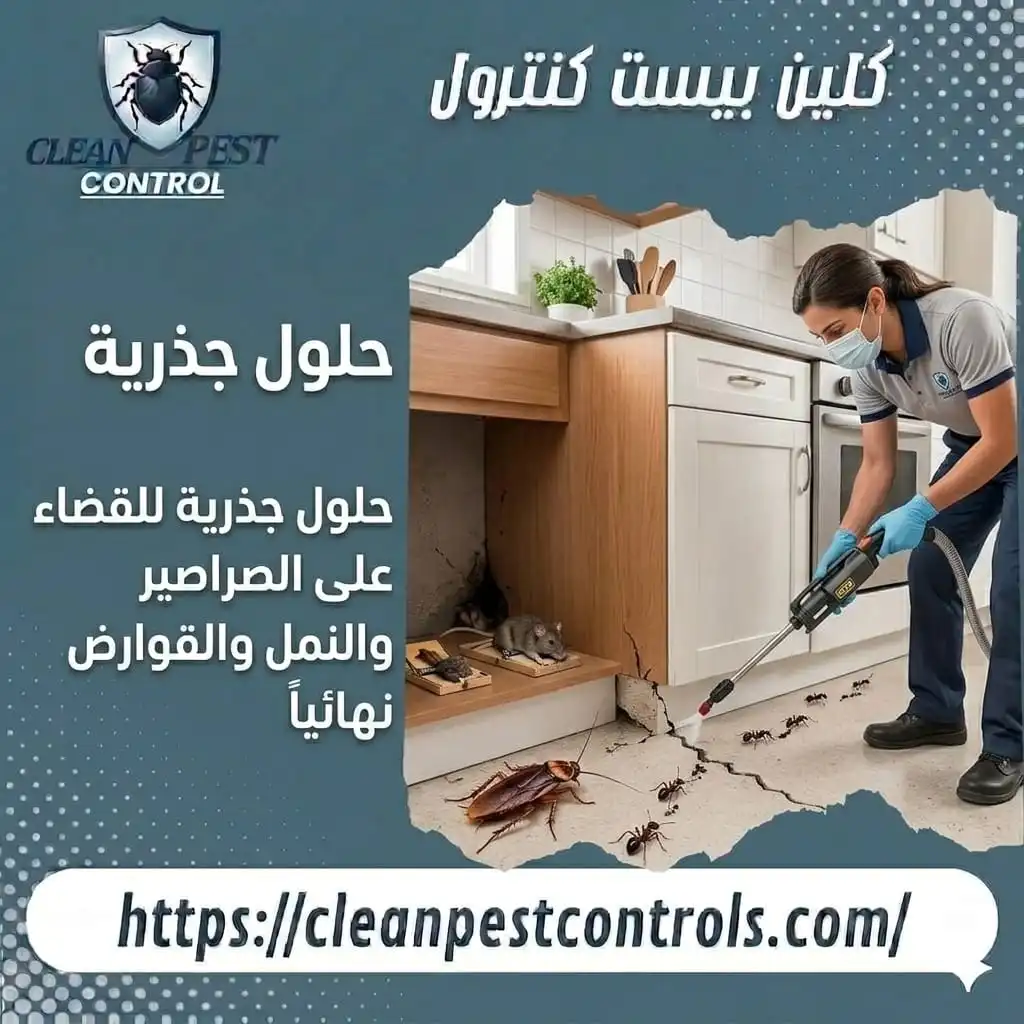 How to Get Rid of Small Kitchen Insects in Kuwait