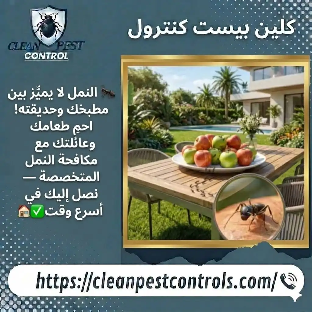 Best Ant Control Company in Kuwait
